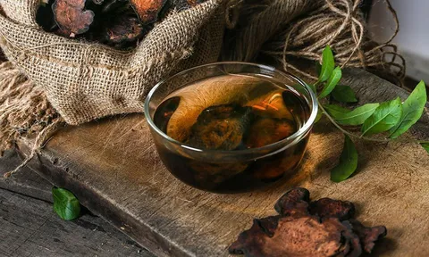 Hà Thủ Ô: Thần dược cho người tóc bạc sớm nhưng “sai một li đi một dặm”